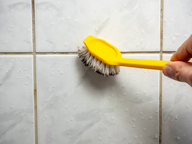 Best Black Mold Remediation in Bidwell, OH