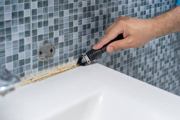 Best Residential Mold Remediation in Bidwell, OH